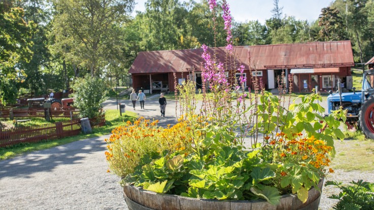 Solig gård med blommor och uthus